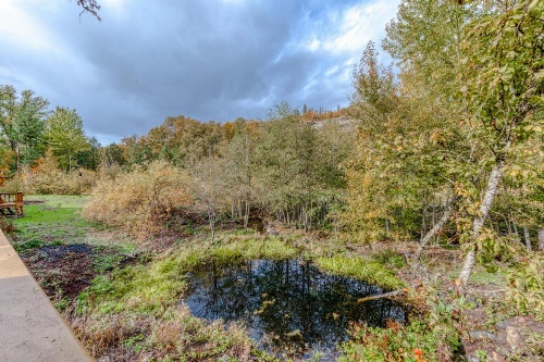Green Acres image 6
